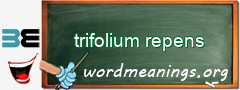 WordMeaning blackboard for trifolium repens